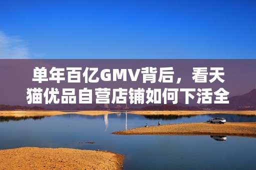 单年百亿GMV背后，看天猫优品自营店铺如何下活全域零售一盘棋？