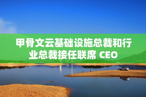 甲骨文云基础设施总裁和行业总裁接任联席 CEO