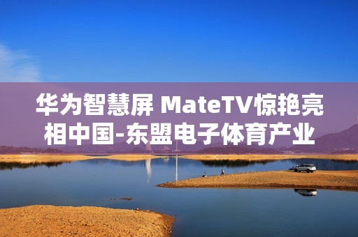 华为智慧屏 MateTV惊艳亮相中国-东盟电子体育产业活动周