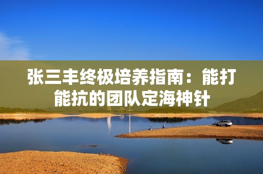 张三丰终极培养指南：能打能抗的团队定海神针