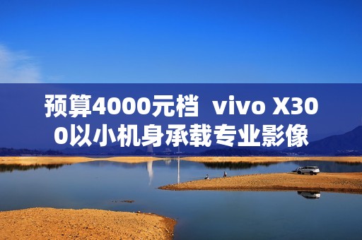 预算4000元档  vivo X300以小机身承载专业影像