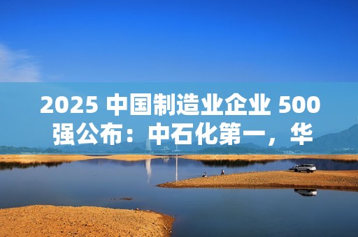 2025 中国制造业企业 500 强公布：中石化第一，华为、比亚迪前十