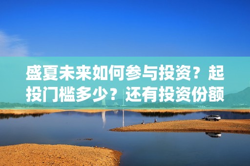 盛夏未来如何参与投资？起投门槛多少？还有投资份额没有？(盛夏未来!)