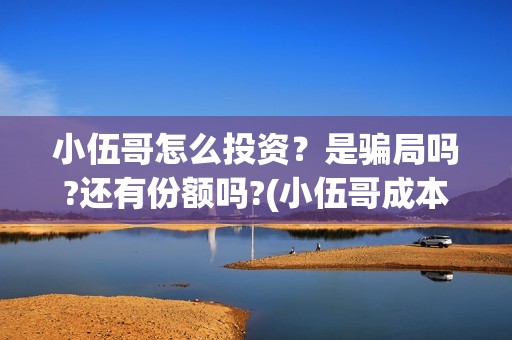 小伍哥怎么投资？是骗局吗?还有份额吗?(小伍哥成本)