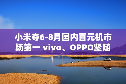 小米夺6-8月国内百元机市场第一 vivo、OPPO紧随其后