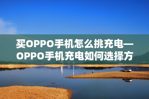 买OPPO手机怎么挑充电—OPPO手机充电如何选择方法
