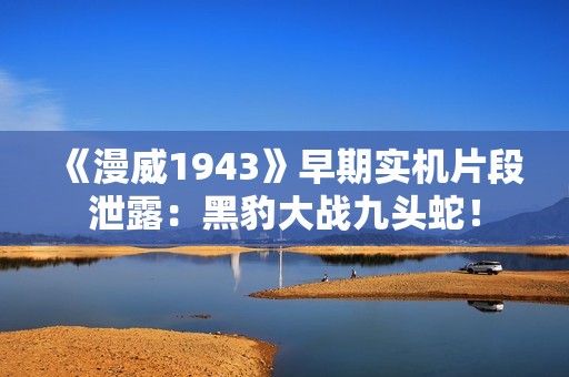 《漫威1943》早期实机片段泄露:黑豹大战九头蛇! 《漫威1943》早期实机片段泄露:黑豹大战九头蛇!