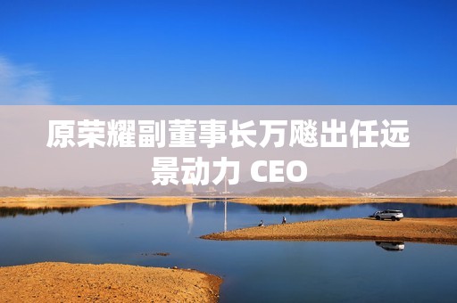 原荣耀副董事长万飚出任远景动力 CEO