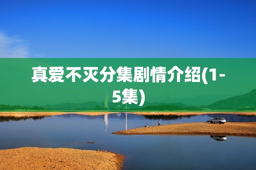 真爱不灭分集剧情介绍(1-5集)