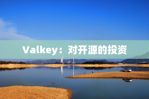 Valkey：对开源的投资