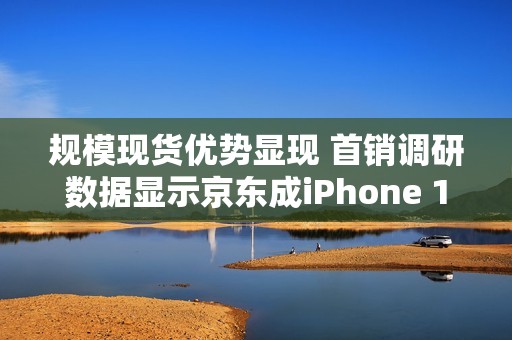 规模现货优势显现 首销调研数据显示京东成iPhone 17用户购机最大渠道