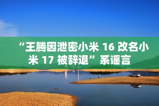 “王腾因泄密小米 16 改名小米 17 被辞退”系谣言