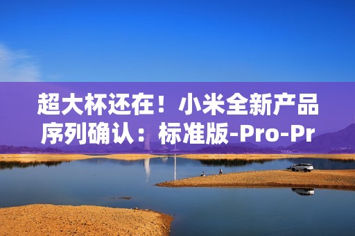 超大杯还在！小米全新产品序列确认：标准版-Pro-Pro Max-Ultra