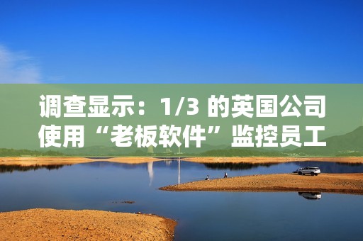 调查显示：1/3 的英国公司使用“老板软件”监控员工活动