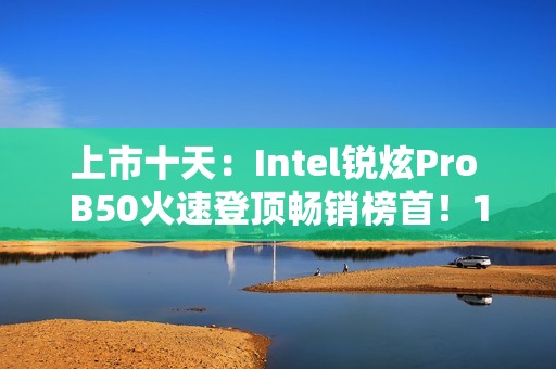 上市十天：Intel锐炫Pro B50火速登顶畅销榜首！16GB大显存2999元