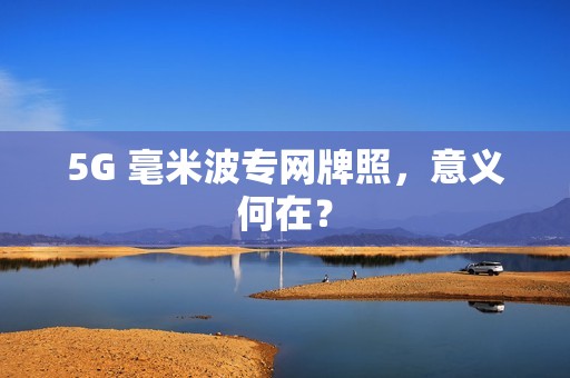 5G 毫米波专网牌照，意义何在？