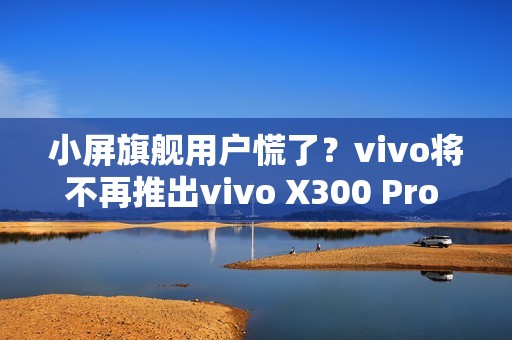 小屏旗舰用户慌了？vivo将不再推出vivo X300 Pro mini