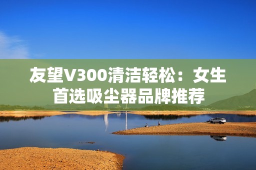 友望V300清洁轻松：女生首选吸尘器品牌推荐