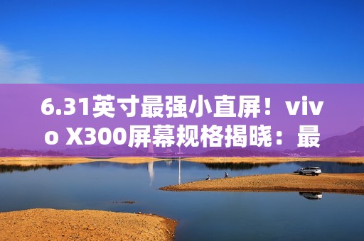 6.31英寸最强小直屏！vivo X300屏幕规格揭晓：最窄四等边+超声波指纹2.0