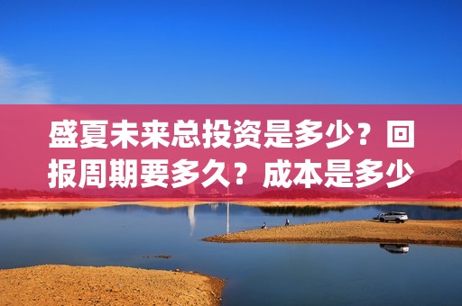 盛夏未来总投资是多少？回报周期要多久？成本是多少？(盛夏未 来)