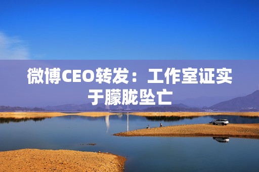 微博CEO转发：工作室证实于朦胧坠亡