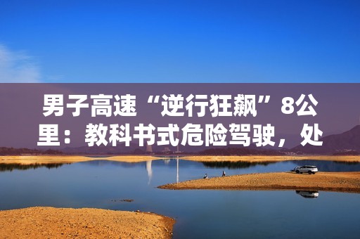 男子高速“逆行狂飙”8公里：教科书式危险驾驶，处罚结果引热议