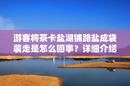 游客将茶卡盐湖铺路盐成袋装走是怎么回事？详细介绍