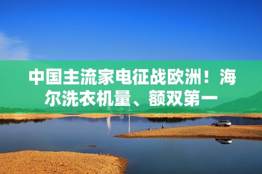 中国主流家电征战欧洲！海尔洗衣机量、额双第一