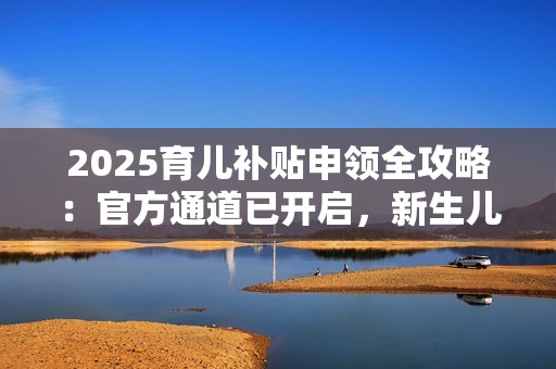 2025育儿补贴申领全攻略：官方通道已开启，新生儿家庭速览