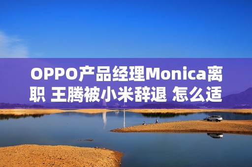 OPPO产品经理Monica离职 王腾被小米辞退 怎么适应职场变化