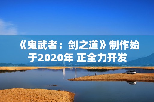 《鬼武者：剑之道》制作始于2020年 正全力开发
