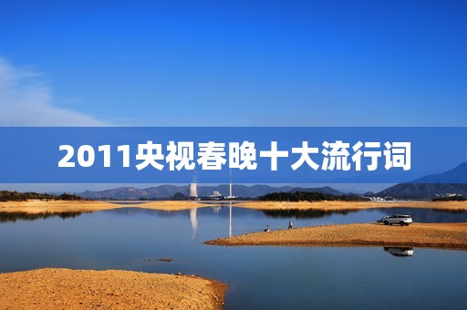 2011央视春晚十大流行词