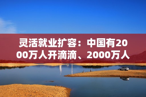 灵活就业扩容：中国有2000万人开滴滴、2000万人送快递外卖