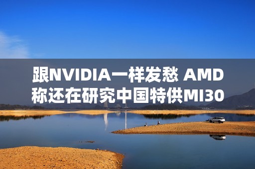 跟NVIDIA一样发愁 AMD称还在研究中国特供MI308显卡能否出售