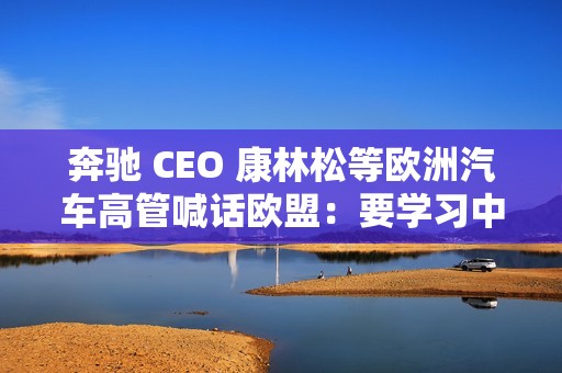 奔驰 CEO 康林松等欧洲汽车高管喊话欧盟：要学习中国经验