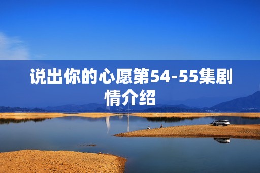 说出你的心愿第54-55集剧情介绍