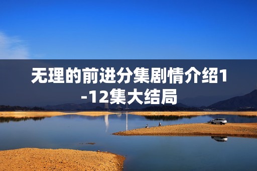 无理的前进分集剧情介绍1-12集大结局