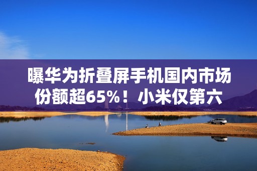 曝华为折叠屏手机国内市场份额超65%！小米仅第六