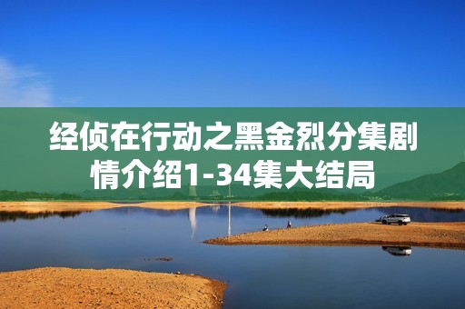 经侦在行动之黑金烈分集剧情介绍1-34集大结局