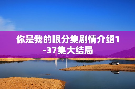 你是我的眼分集剧情介绍1-37集大结局