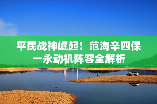 平民战神崛起！范海辛四保一永动机阵容全解析
