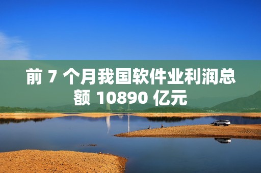 前 7 个月我国软件业利润总额 10890 亿元