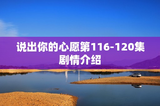 说出你的心愿第116-120集剧情介绍