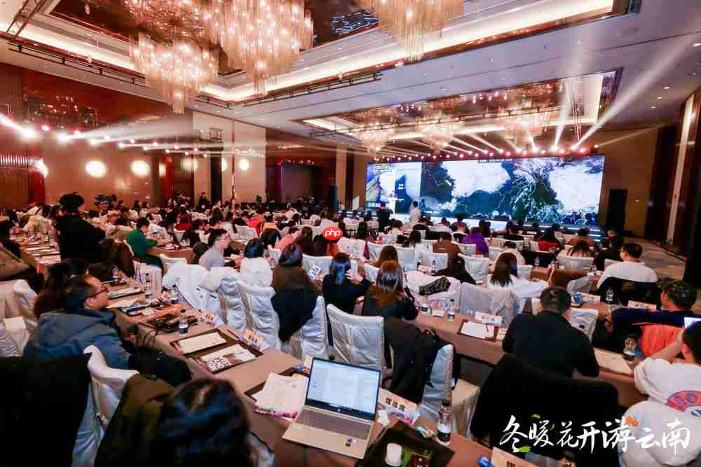 冬暖花开游云南  文旅联动谱新篇