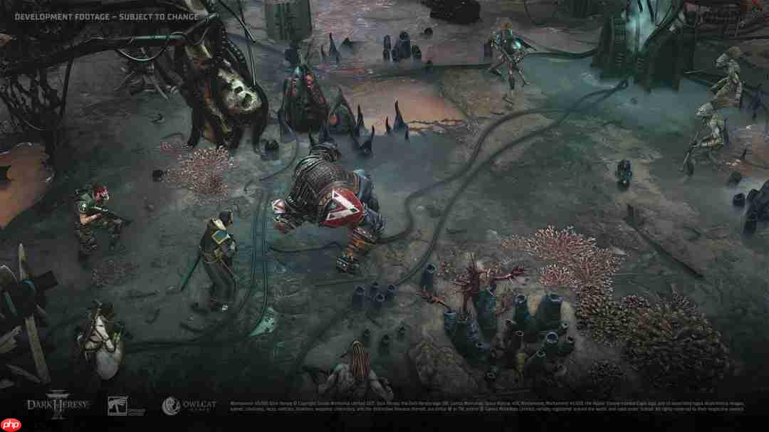 Owlcat官宣推出自家启动器 玩家社区炸锅：不需要！