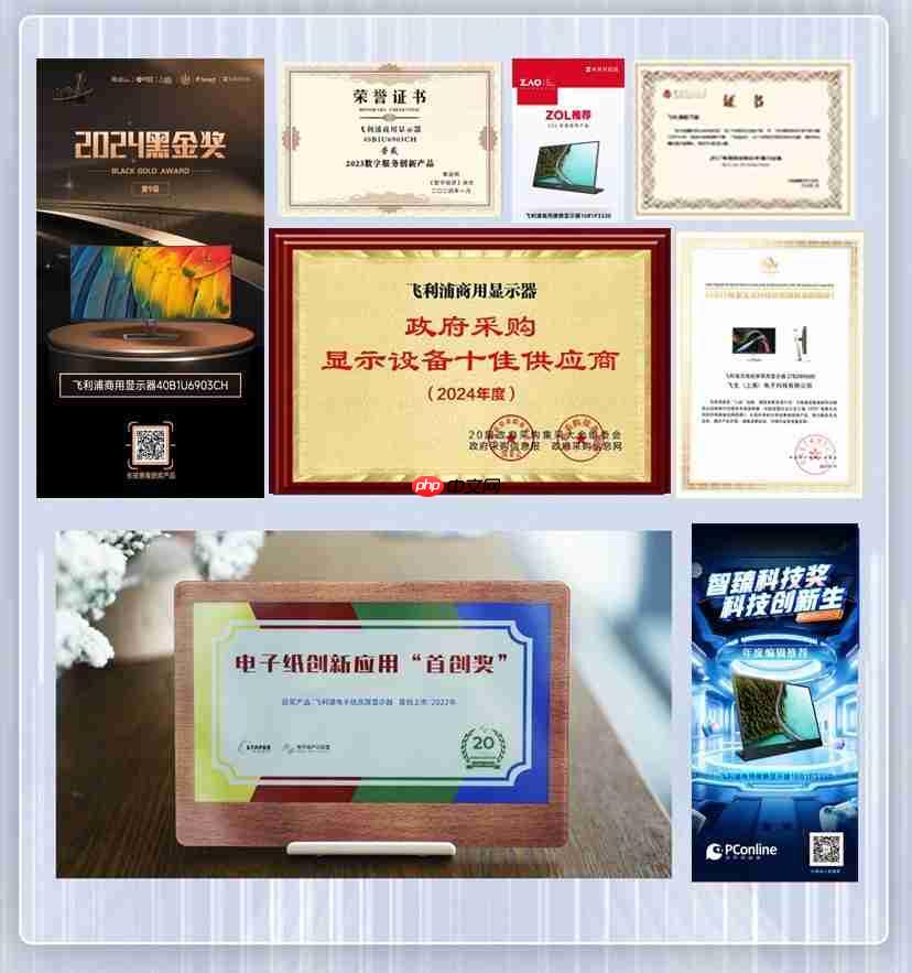 光影为序，专业为纲丨飞利浦商用显示器&尼康共绘影像创作新图景