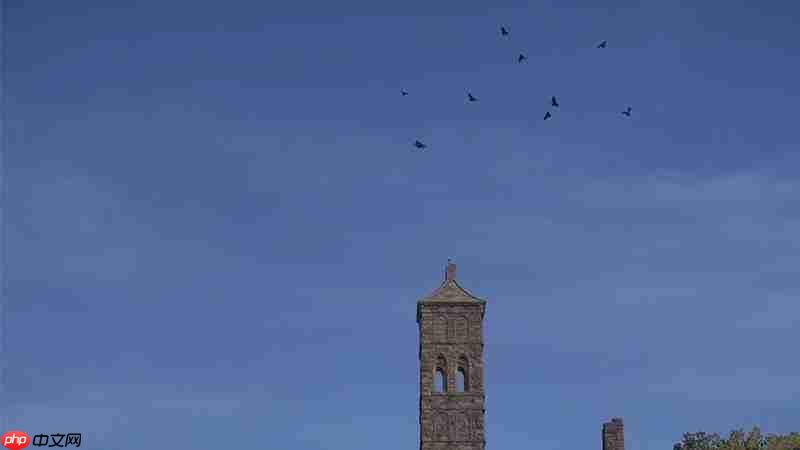 颂钟长鸣大型更新概览：全新生物登陆哈尔玛尔群岛