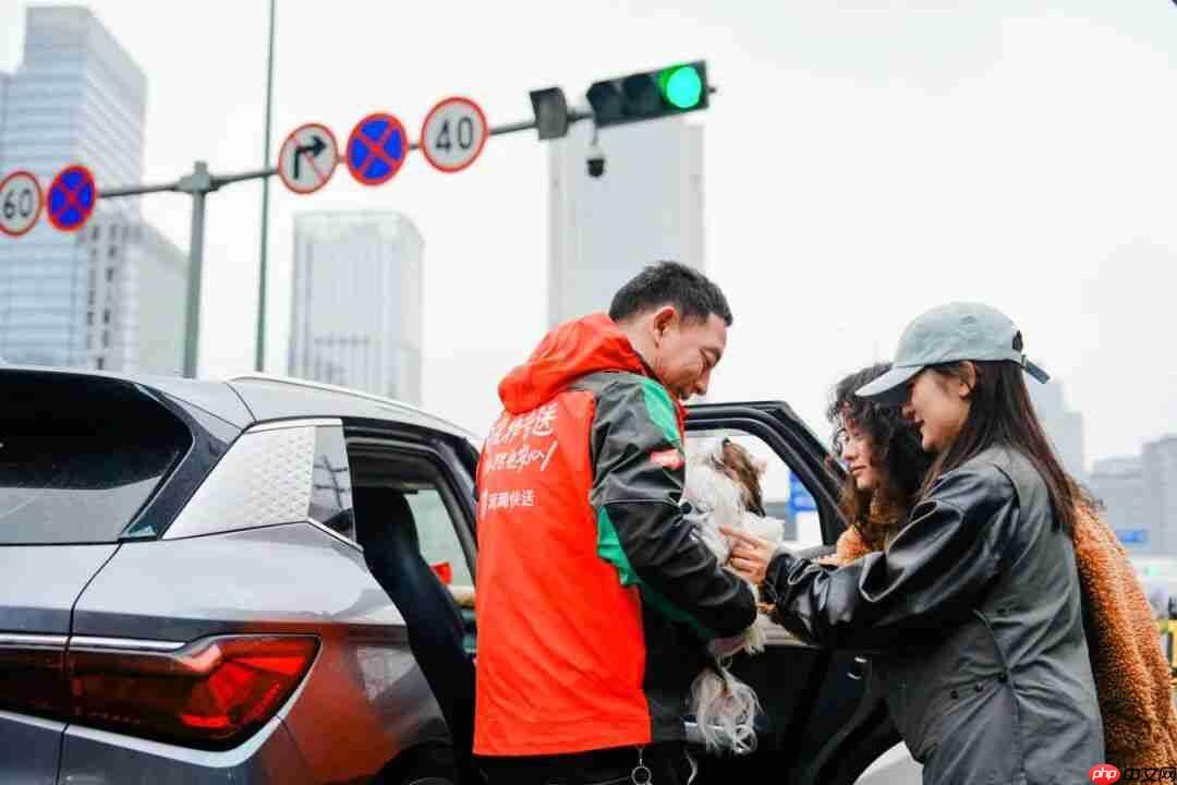 滴滴上线“宠物服务”，涵盖出行、上门喂遛和洗护等