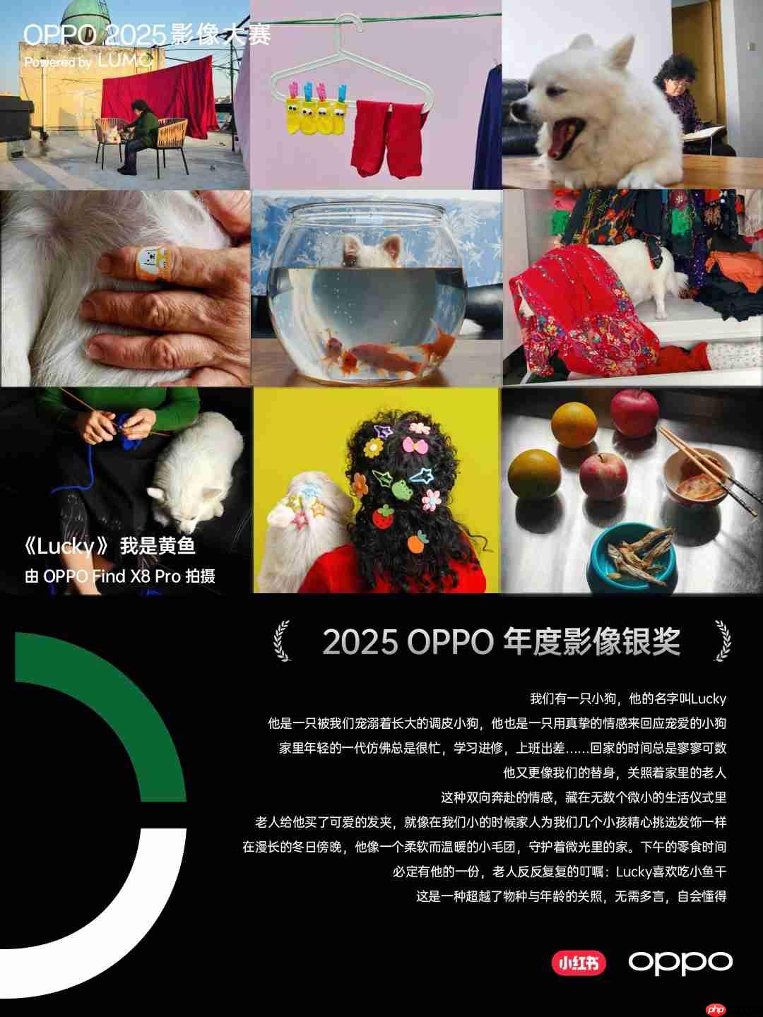 点亮感动时刻！OPPO 2025影像大赛获奖作品重磅揭晓