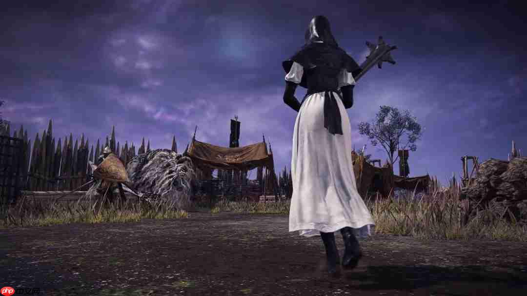 翘臀修女姐姐！《艾尔登法环黑夜君临》DLC角色PV：送葬者